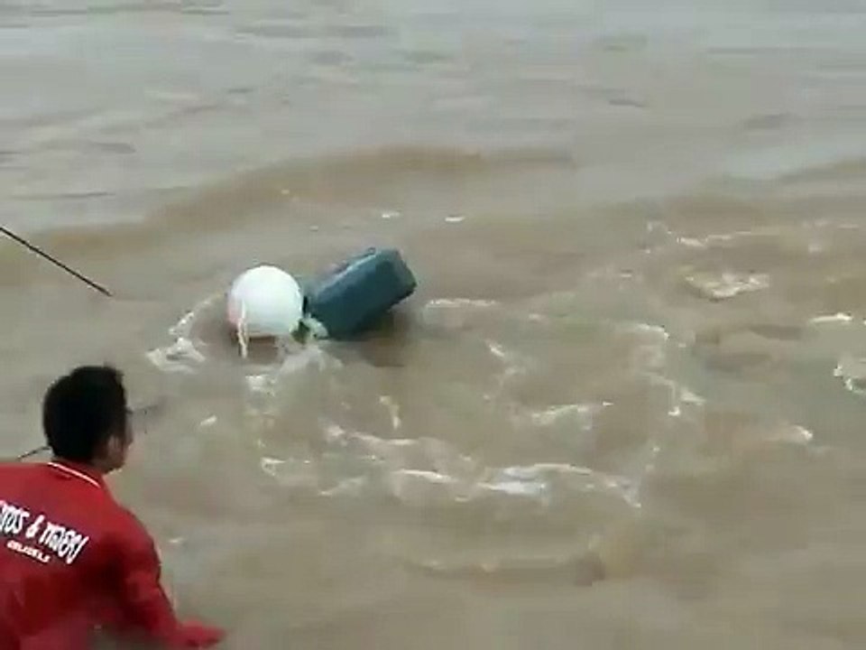 Mekong Giant Catfish