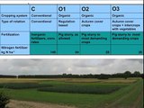 Organic Cropping Systems for Vegetable Production: Crop Nutrition and Environmental Effects