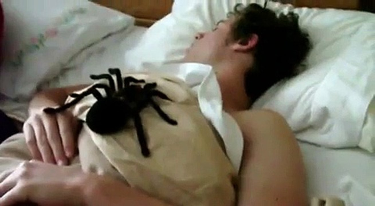 ... HAHAHA ... Just watch it!
