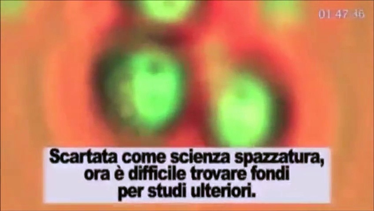 10 Cose Che Devi Sapere