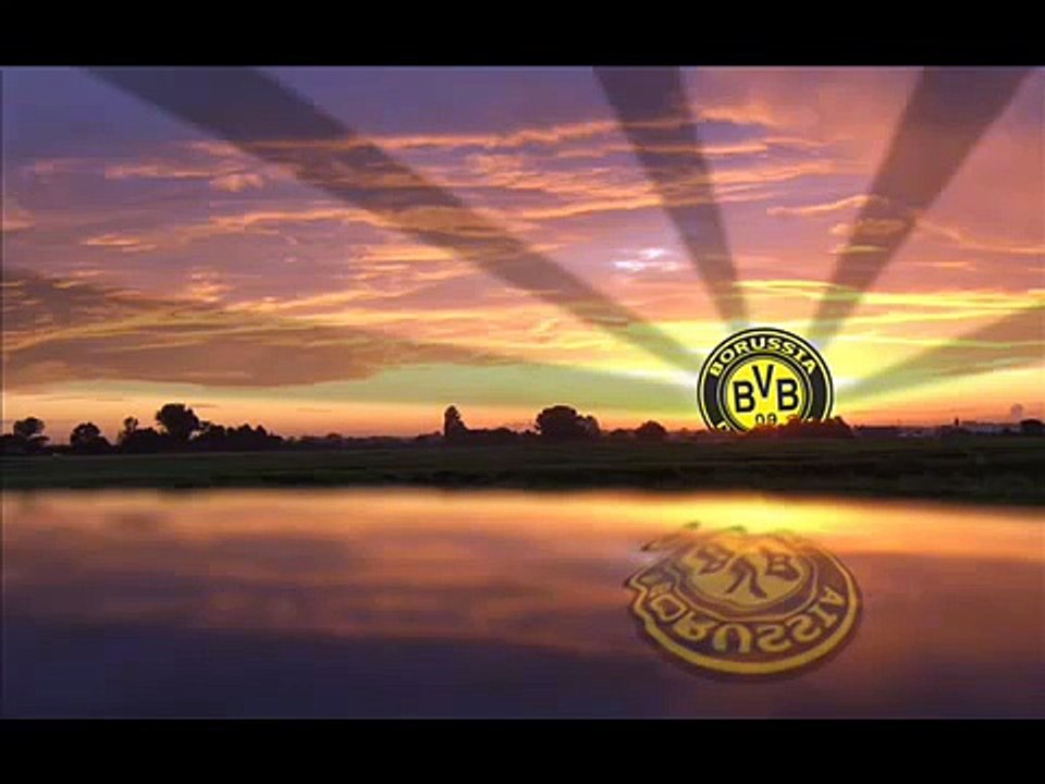 Bvb Lied