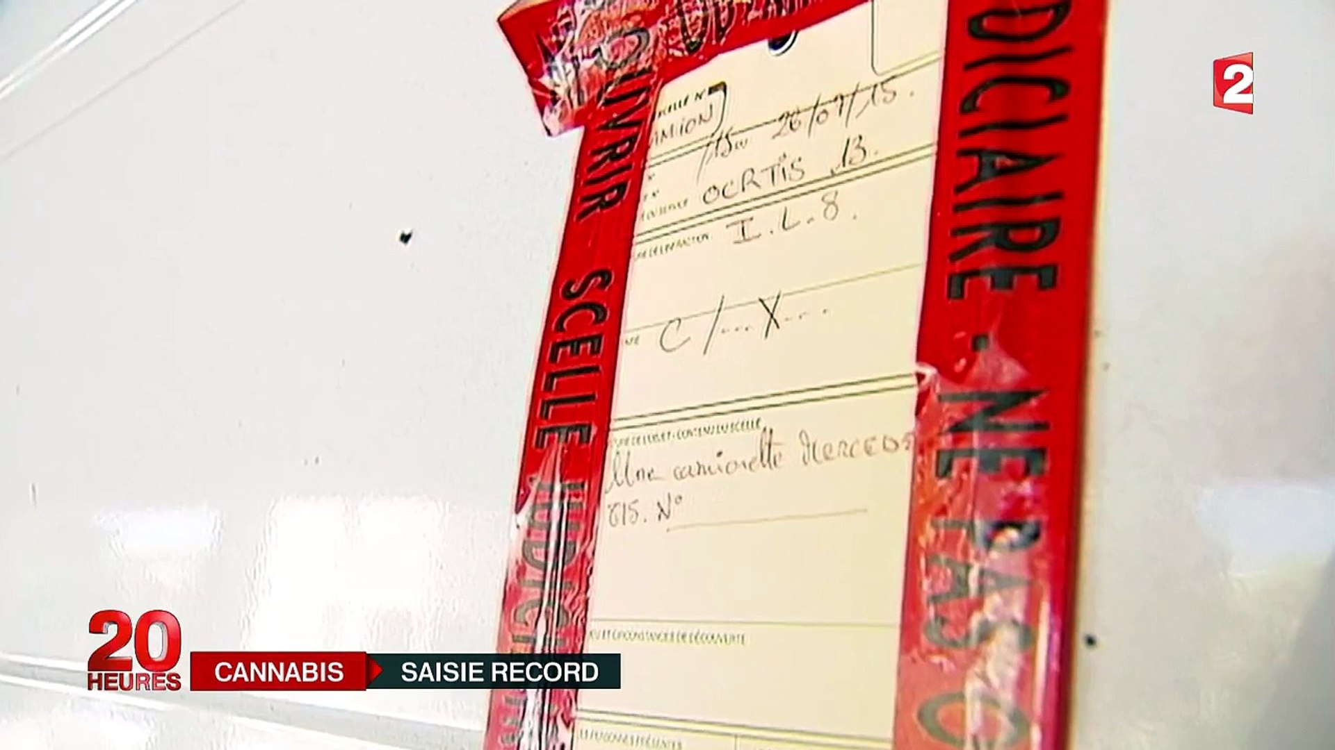 Saisie record de cannabis