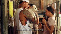 Bali Animal Welfare Association - Testimonial from Jerinx from Superman Is Dead