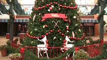 Christmas at Busch Gardens Africa in Tampa, FL