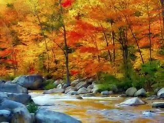 Sofia Cardoso Pai  Fala comigo