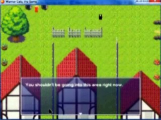 Warriors Cats Video Game