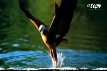 Video del autoconocimiento - Desarrollo Personal