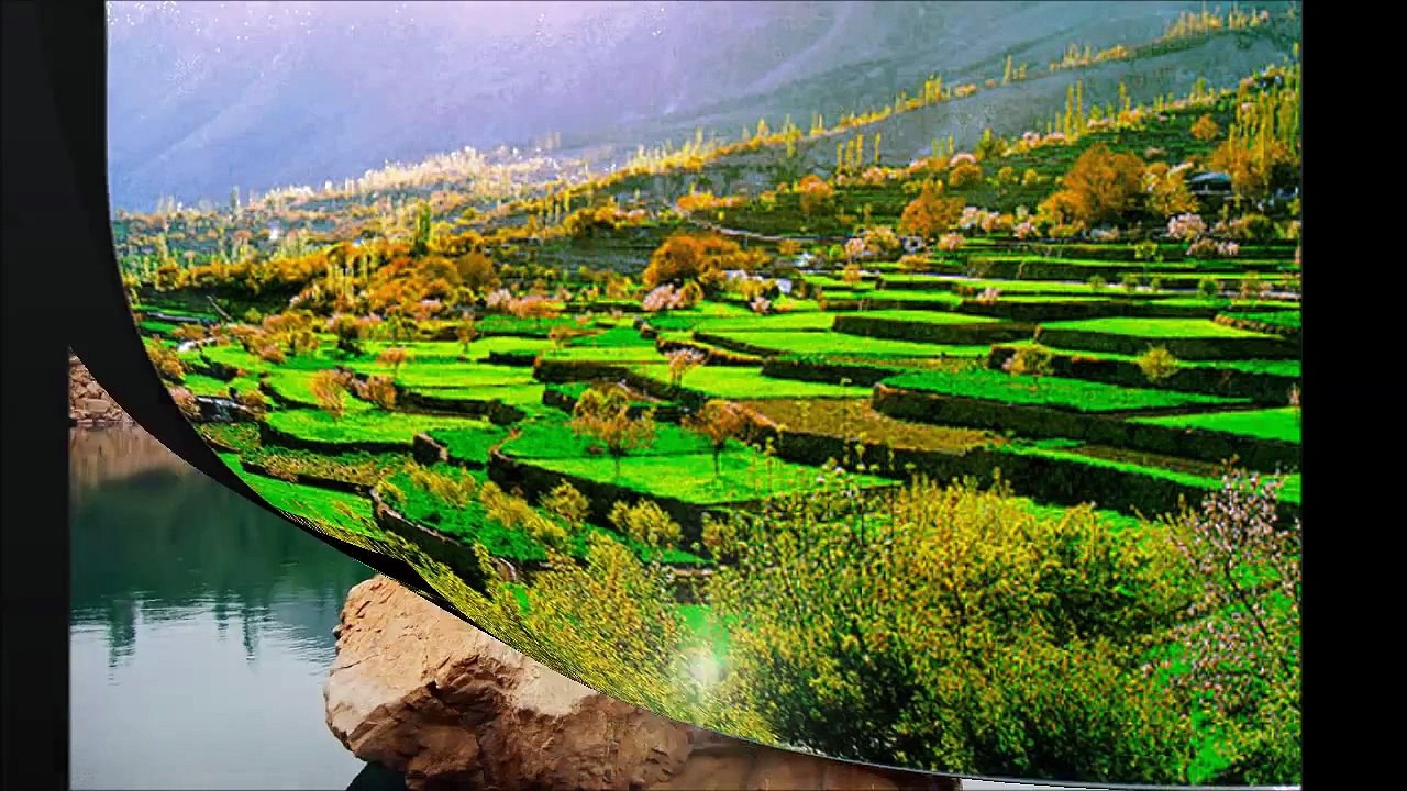 Beautiful piayar Pakistan