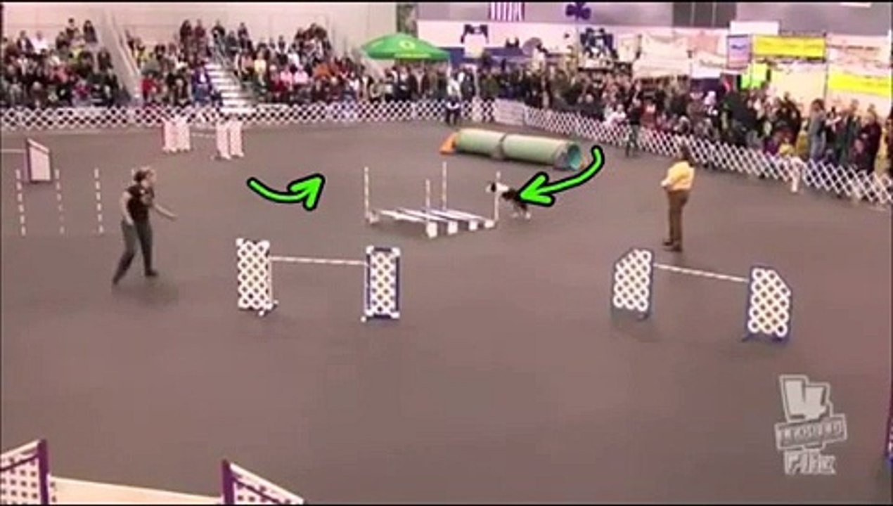 Serpentines and Ketschkers: Analysis of Daisy Peel's ISC Jumpers Run