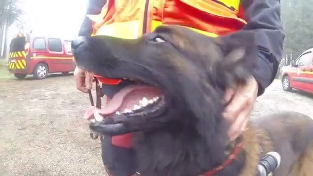 Unité Cynotechnique SDIS 29