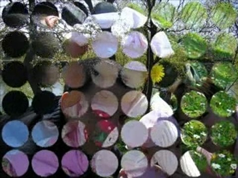 parc de l'ile st denis