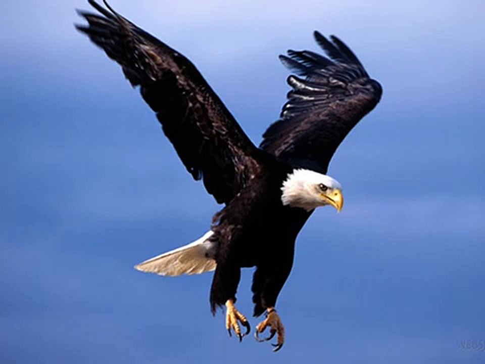 Mard-e-Musalman- Allama Iqbal (by Shakeel1968)