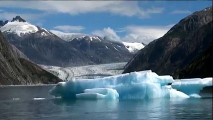 Bedreigde Diersoorten: De Walvis Trailer