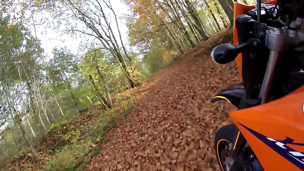 Autumn ride. Yamaha XT660X.