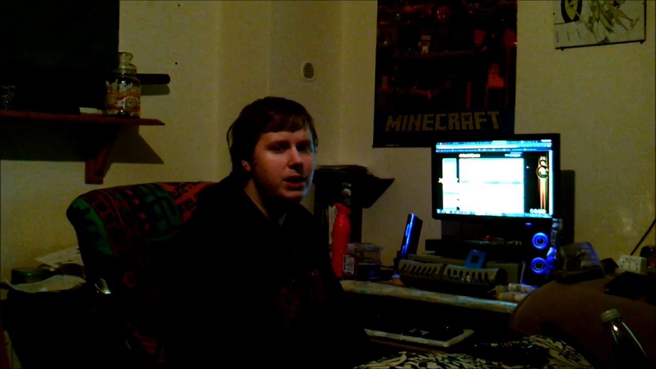 VLOG 01st January 2015 - Tigers In The House And The Twitter Discovery