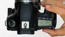 Canon 60D tutorial: Using the exposure compensation | lynda.com