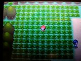 Shiny Chatot (1 of 2) pokeradar chain 41 pokemon diamond