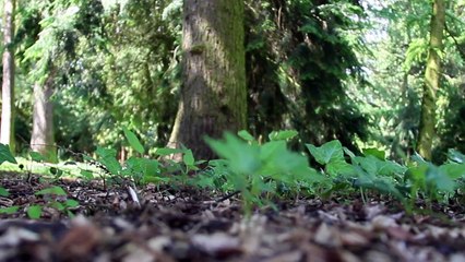 Les métiers du bioingénieur de Gembloux Agro-Bio Tech - Bach Kim Nguyen