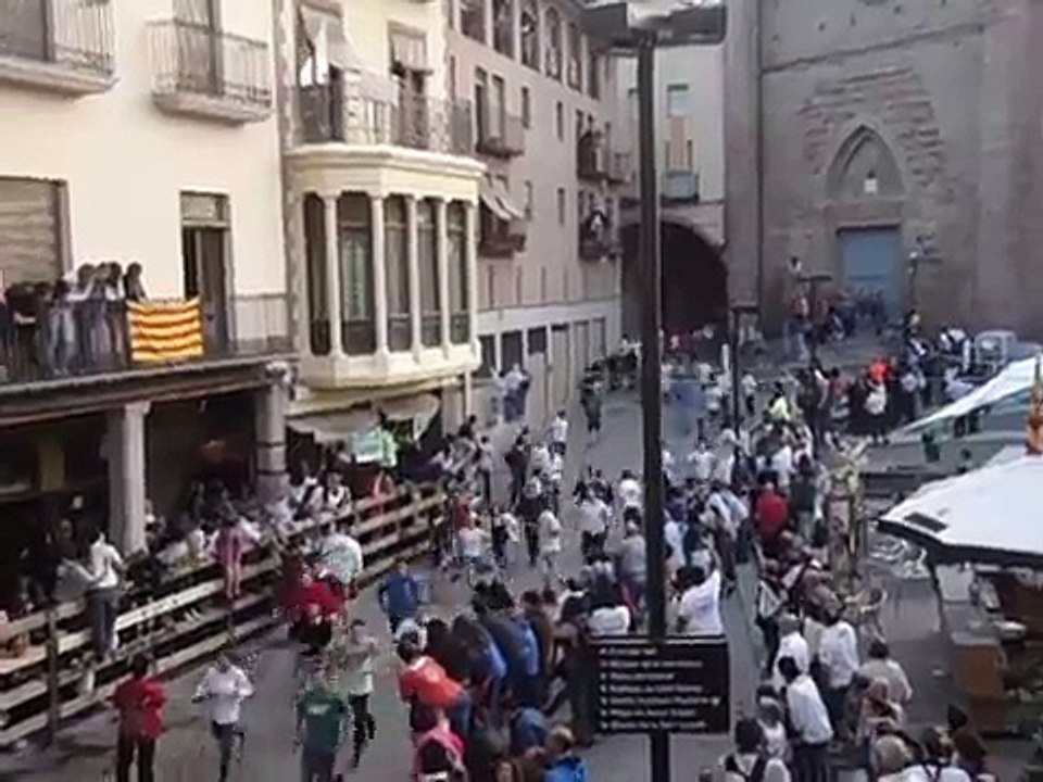 Encierro Cardona 2014