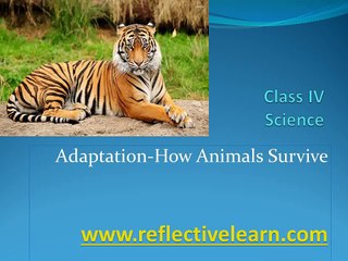 Adaptations- How Animals Survive.  (by LearnRoots - www.learnroots.com)