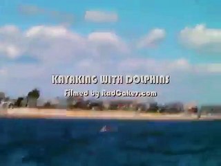 Kayaking with a pod of dolphins on the New Jersey shore