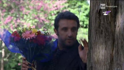 Lo sbirro Insinna costretto a chiedere perdono in ginocchio alla suocera