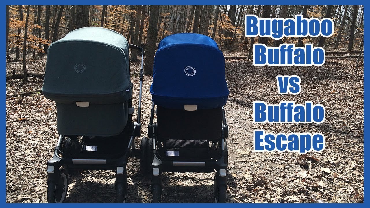 BG Review: Bugaboo Buffalo vs Buffalo Escape Stroller Comparison - video  dailymotion
