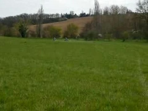 350 raptor VS 400 ltz