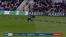 Alex Hales hits six sixes