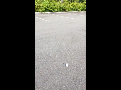 Test độ bền của máy mã vạch thu thập dữ liệu - OPL-9728