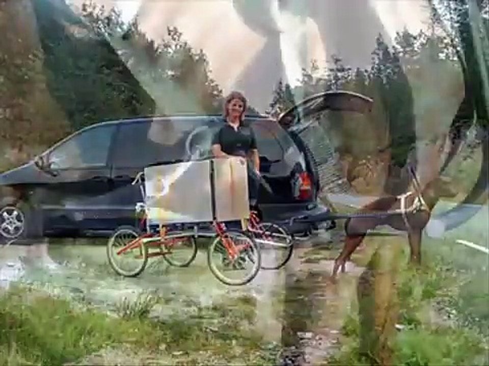 Sacco cart - wagon