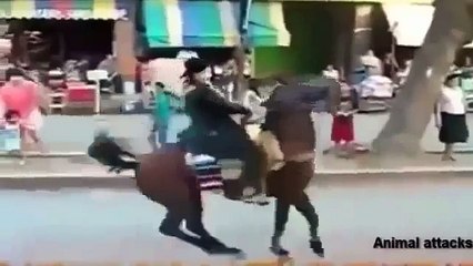 Animal attack HD ll 2015 Brutal Animal Attacks on human ! Who Win