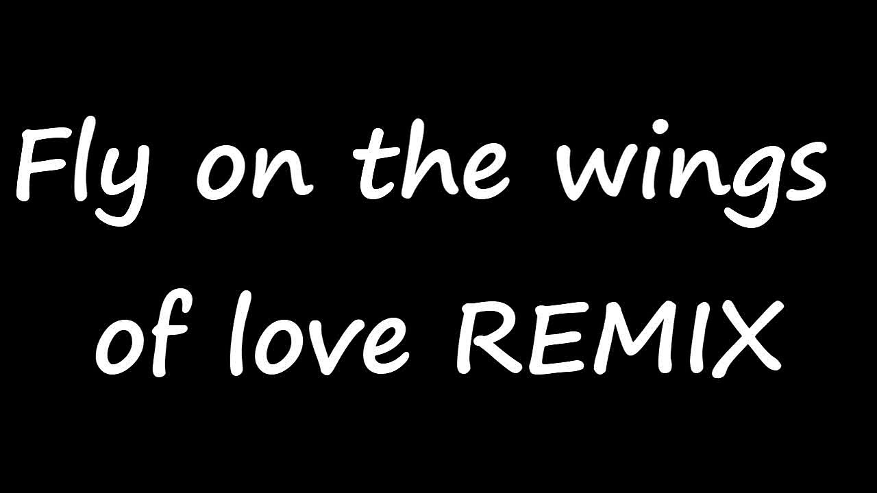 Fly on the wings of love REMIX