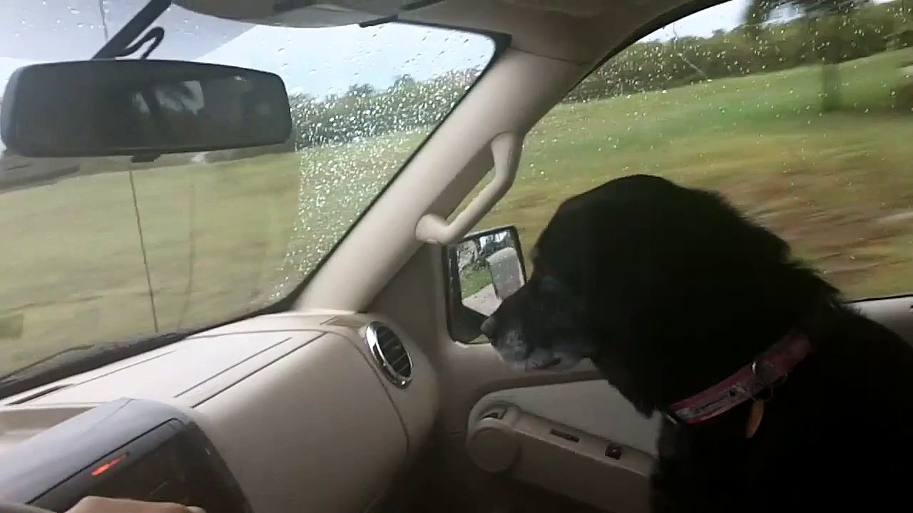 Man loves dog