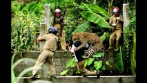 FUNNY ANIMAL ATTACK , Animals Attacking Humans Compilation 2015