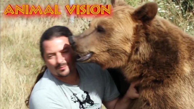 beauval les ouistitis