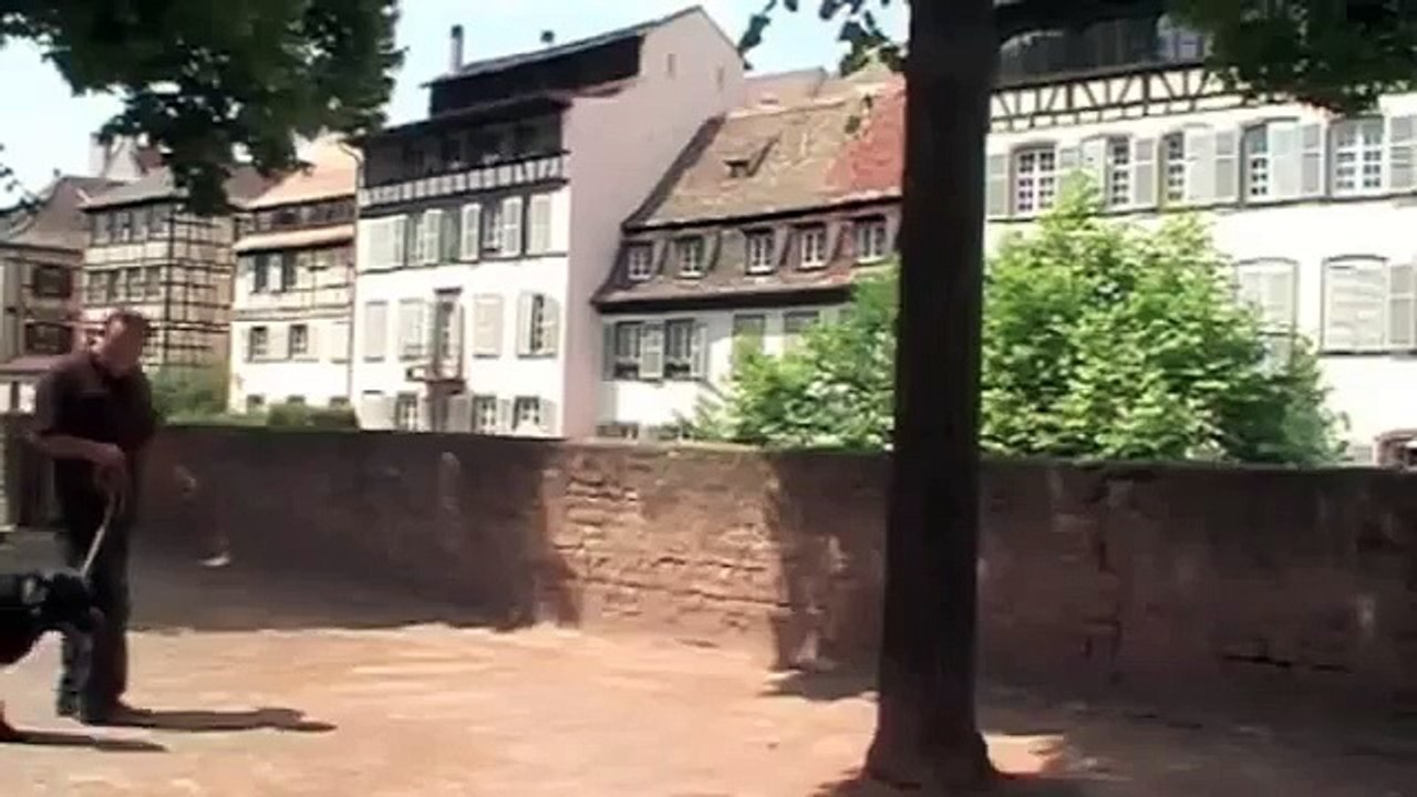 Les métiers du chien accessibles aux sourds et malentendants