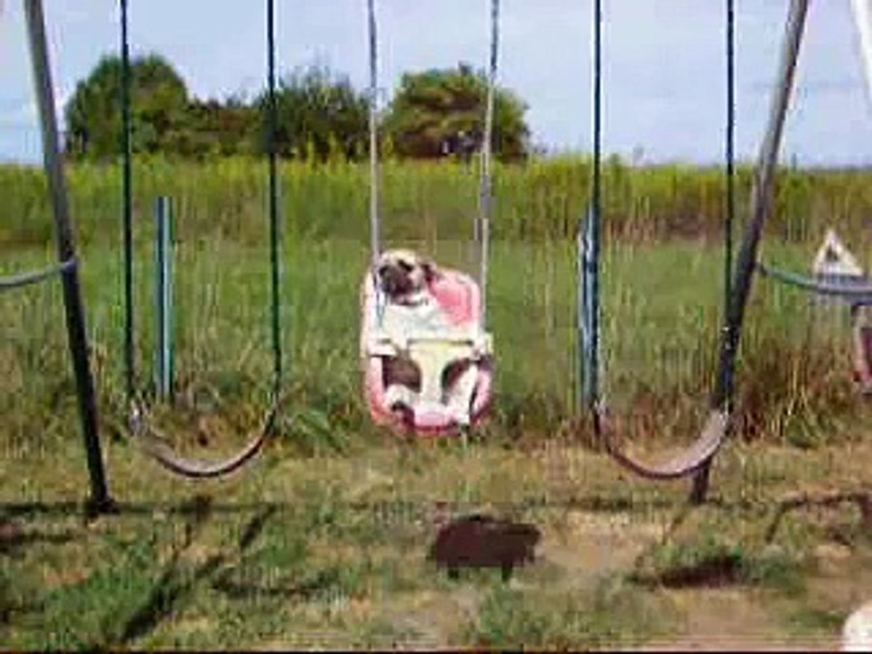 just a swingin
