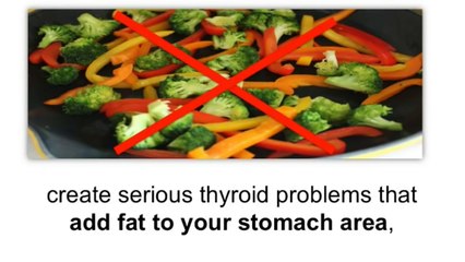 Fat Diminisher Review