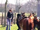 Galop 1 Lucie