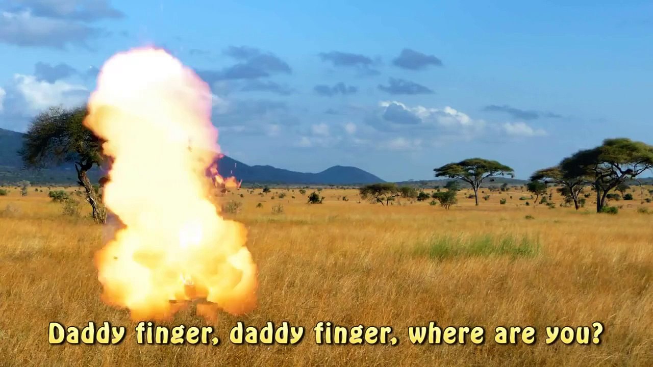 Finger Family Daddy Finger Lion Savane Animal  | The Lion King Cartoons | Kids Nursery Rhymes