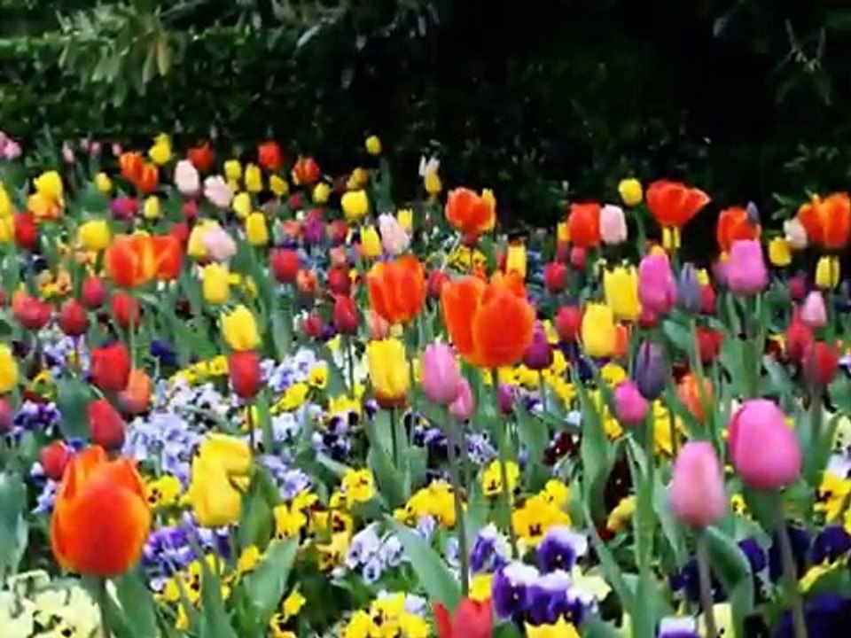 Nightnoise-Bring me back a song