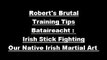 Irish Stick Fighting : Bataireacht : Our Native Irish Martial Art
