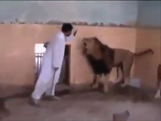 Devil Lion VS Man
