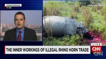 South Africa Battles Rhino Poaching