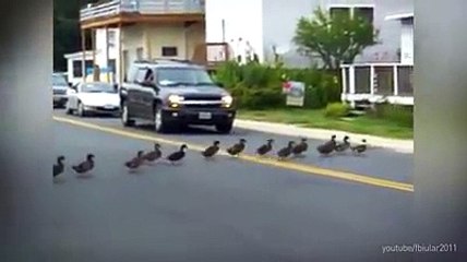 If everyone did this, the world would be a lot more awesome. SHARE if you agree