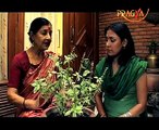 Benefits of Herbs By Seema Sood- Watch Video!