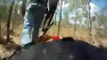 gopro pig dog cam cape york sept 2011 Hunting what dogs were bred to do