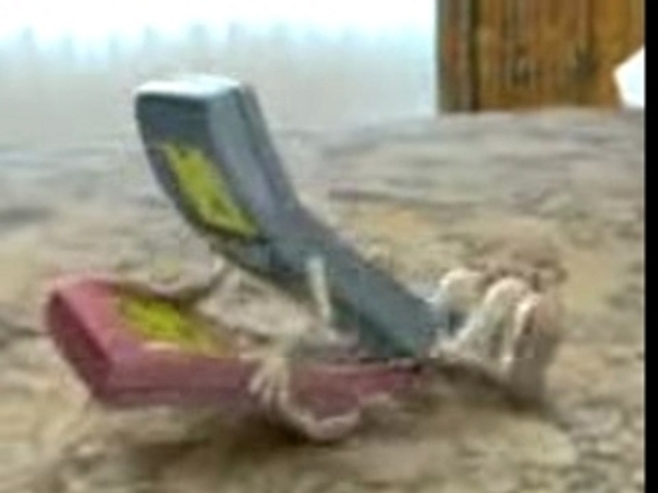 Phucking Phones