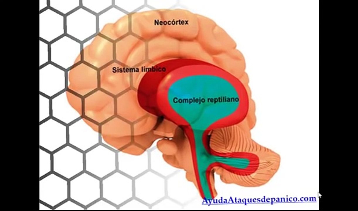 Ansiedad y depresion sintomas
